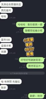 台南定點茶-小花葵/160/46/19/E