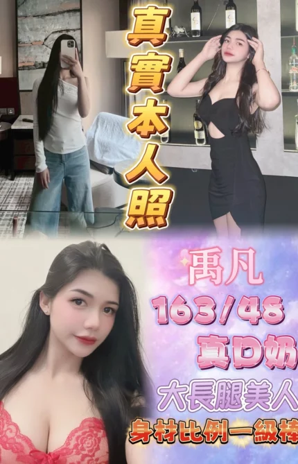 新北定點茶-禹凡/163/48/21/D