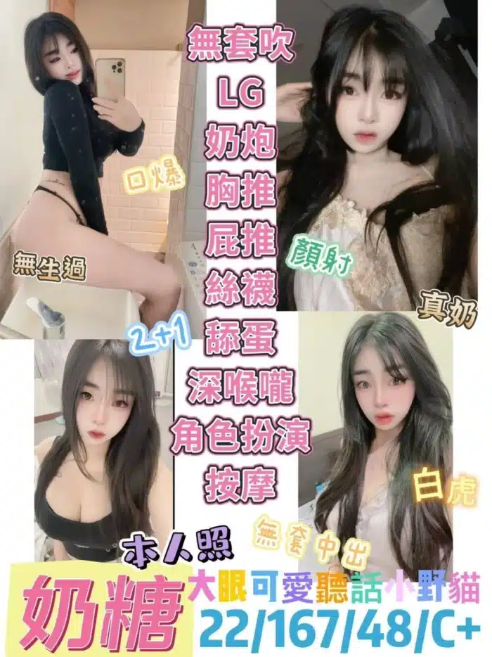 台東定點茶-奶糖/167/48/22/C