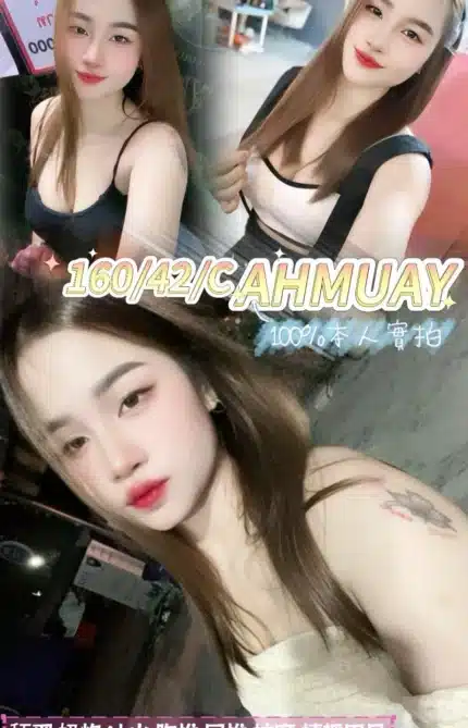 桃園定點茶-Ahmuay/160/42/?/C