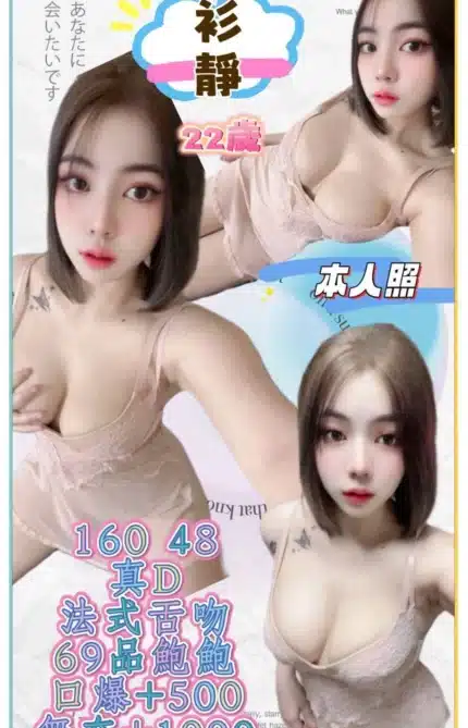 新北定點茶-衫靜/160/48/22/D