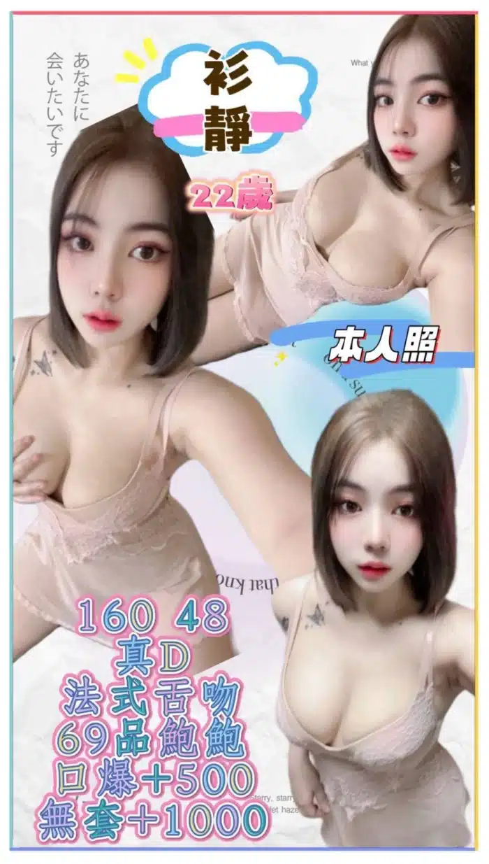 新北定點茶-衫靜/160/48/22/D