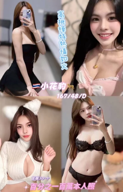 桃園定點茶-小花豹/167/48/25/D