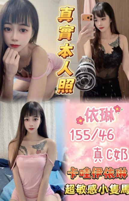 台北定點茶-依琳/155/46/20/C