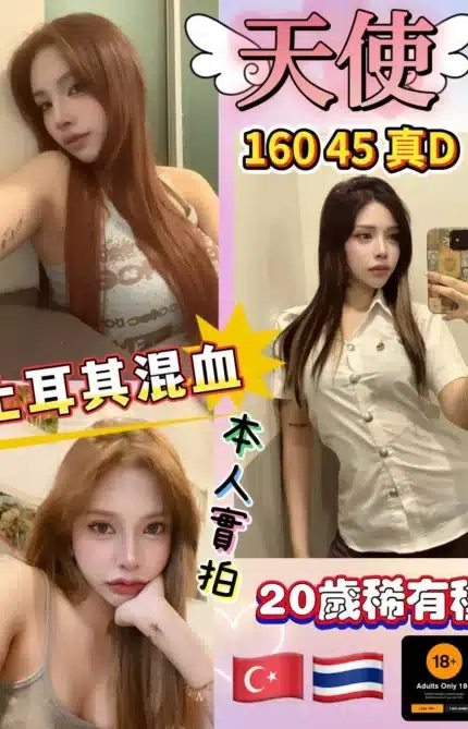 台北定點茶-天使/160/45/20/D