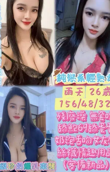 雲林定點茶-雨天/156/48/26/E