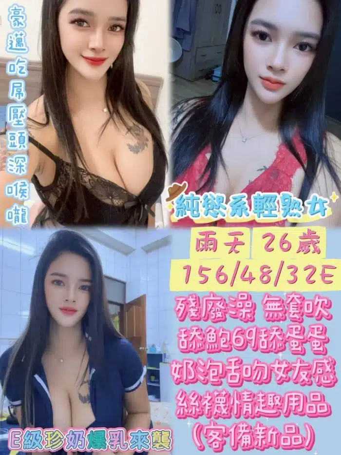 雲林定點茶-雨天/156/48/26/E