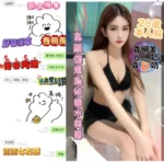 台中定點茶-香明美/160/45/20/D