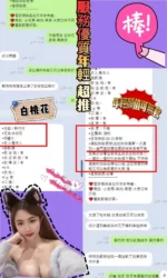 新竹定點茶-白桃花　/153/43/21/D