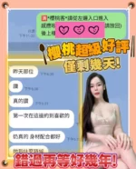 台南定點茶-櫻桃/160/43/22/D