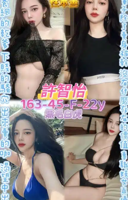 桃園定點茶-許智怡/163/45/22/F