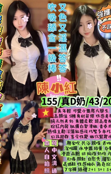 台北定點茶-陳小紅/155/43/20/D