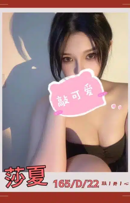 台北外送茶-莎夏/165/46/22/D