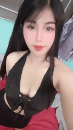 台北定點茶-小花/160/48/?/D