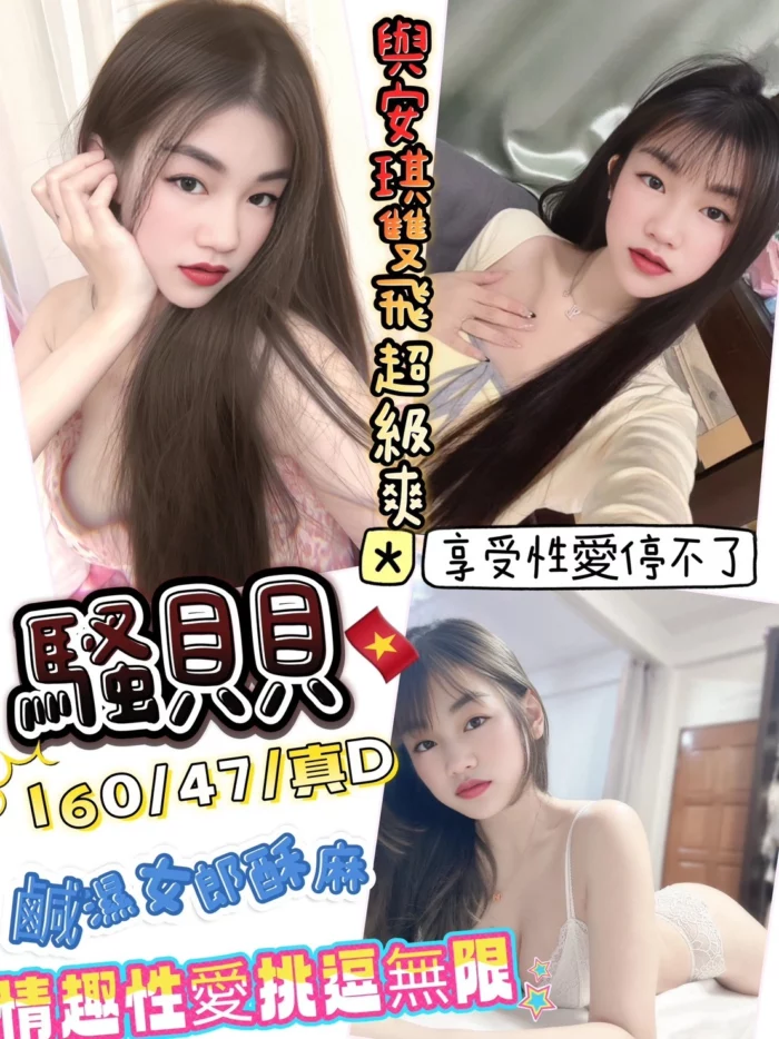 新竹定點茶-騷貝貝/160/47/23/D