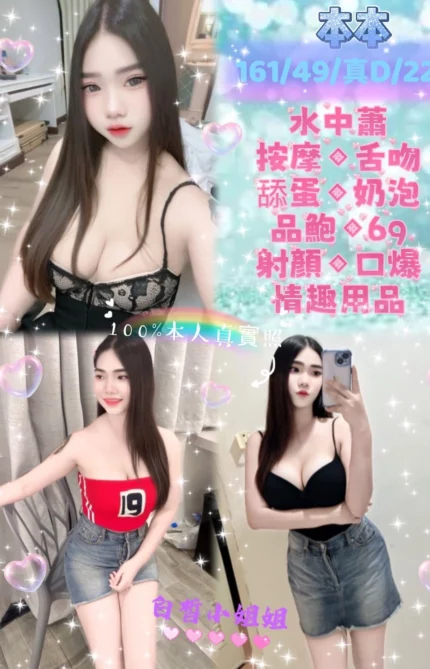 新北定點茶-本本/161/49/22/D
