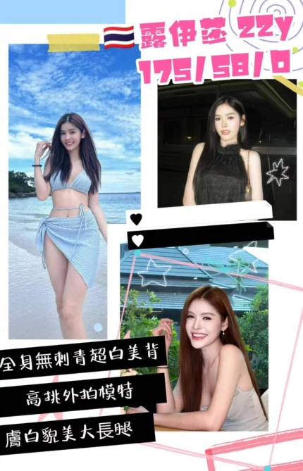 桃園定點茶-露伊莎/175/48/22/D