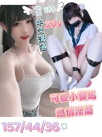 台南定點茶-艾琳/157/44/20/D