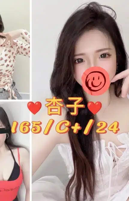台北定點茶-杏子/164/49/24/C
