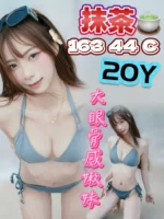 台中定點茶-抹茶/163/44/20/C