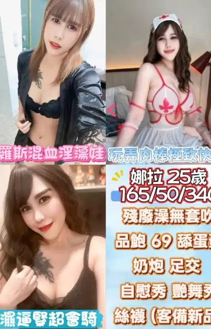 雲林定點茶-娜拉/165/50/25/C