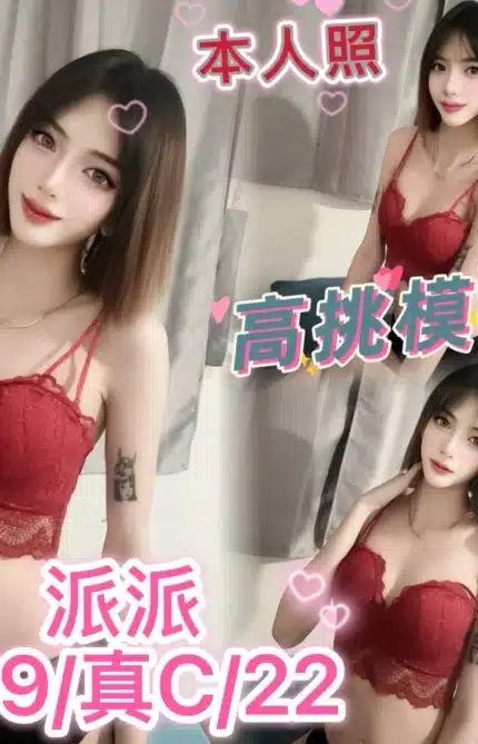 台中定點茶-派派/169/?/22/C