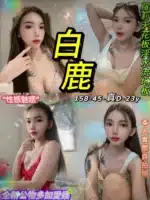 台北定點茶-白鹿/158/45/23/D