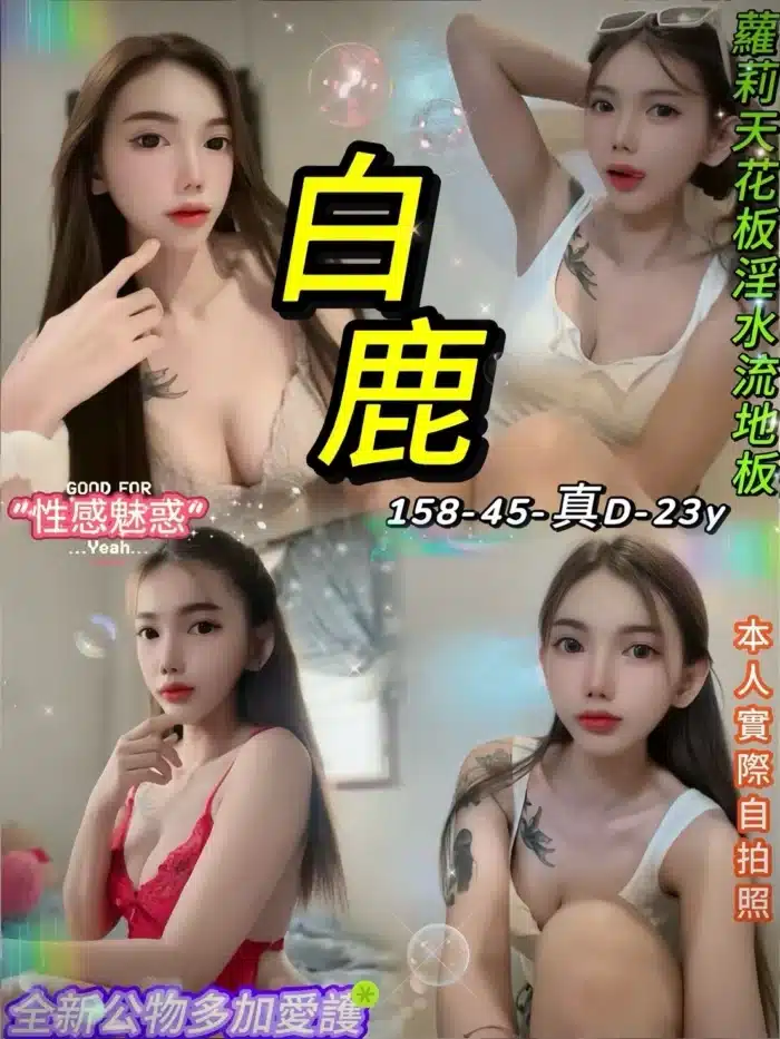 台北定點茶-白鹿/158/45/23/D