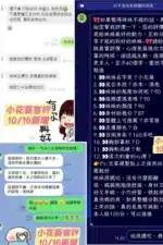 台南定點茶-小花葵/160/46/19/E