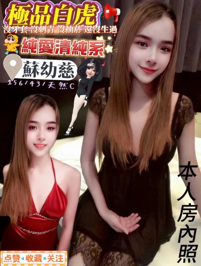 屏東定點茶-蘇幼慈/156/43/21/C