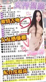台中定點茶-紫藤/161/42/?/G