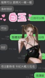 雲林定點茶-白玉/163/49/22/F