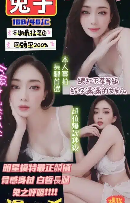 新竹定點茶-兔子/168/46/?/C