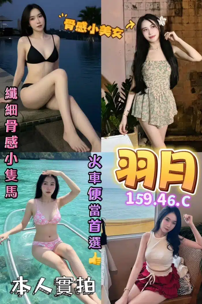 台北定點茶-羽月/159/46/?/C