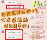 台中定點茶-白桃花/155/40/?/C
