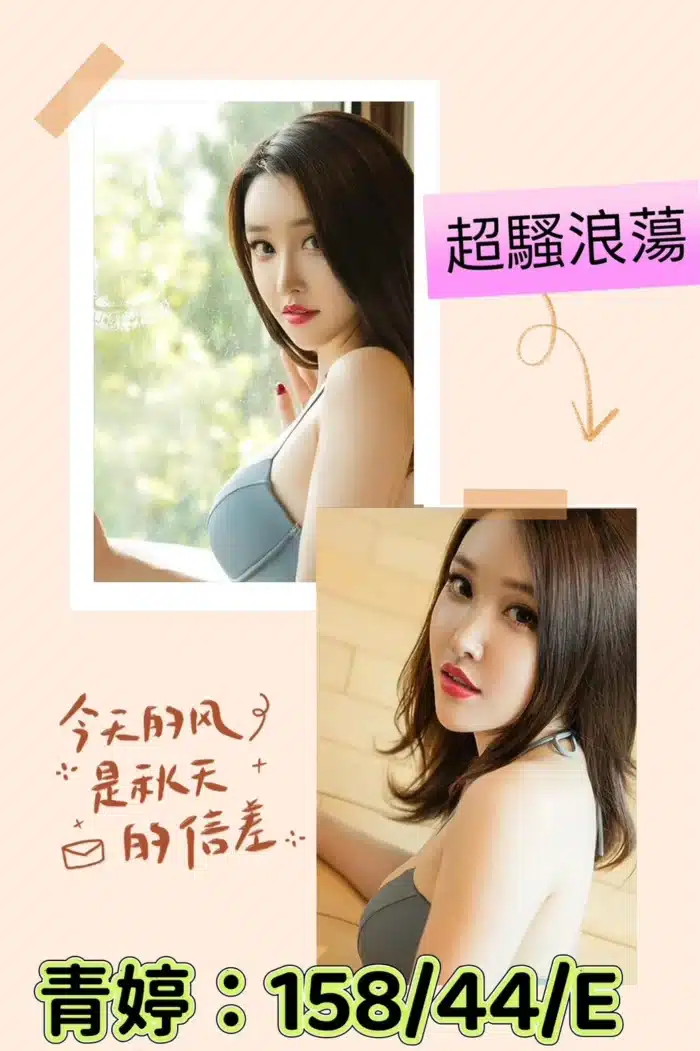 台中定點茶-青婷/158/44/?/E