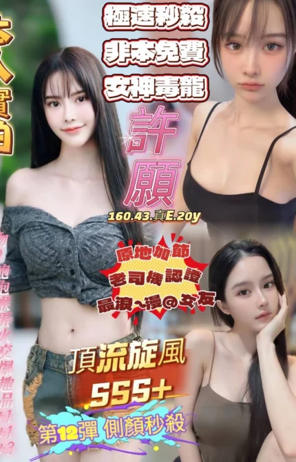 高雄定點茶-許願/160/43/20/E