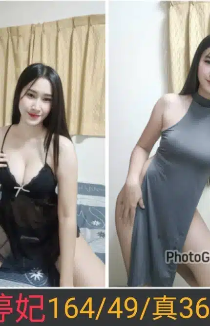 南投定點茶-婷妃/164/49/25/D