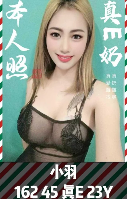 台南定點茶-小羽/162/45/23/E