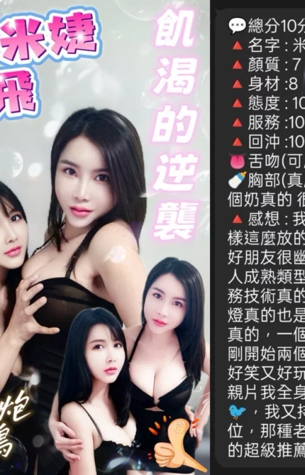 桃園定點茶-米婕/160/45/21/E