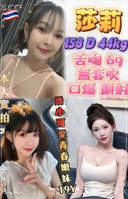 新北定點茶-莎莉/158/44/19/D