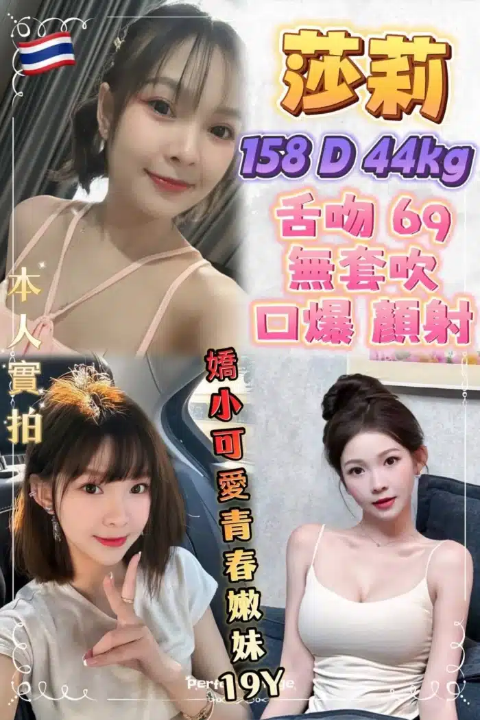 新北定點茶-莎莉/158/44/19/D