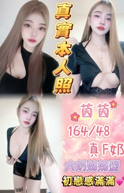 新北定點茶-茵茵/164/48/24/F