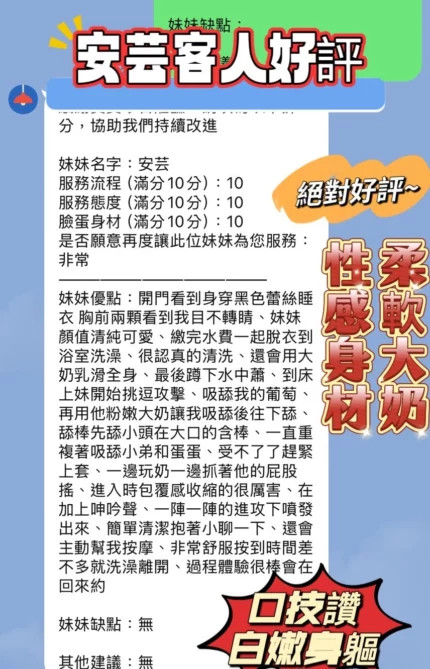 新竹定點茶-安芸/158/42/20/E