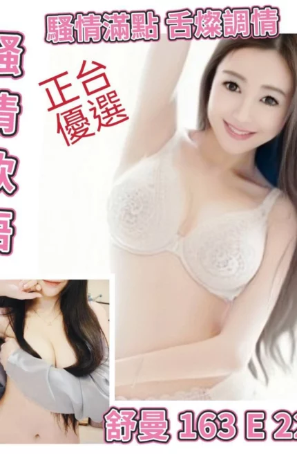 台北外送茶-舒曼/163/?/22/E