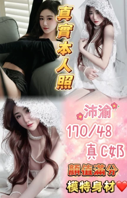 台北定點茶-沛渝/170/48/24/C