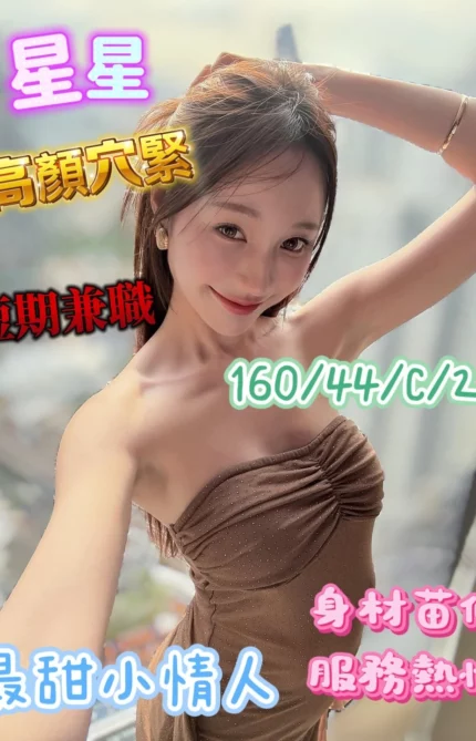 台南定點茶-星星/160/44/21/C