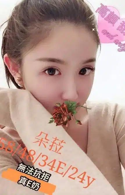 台中外送茶-朵菈/158/48/24/E