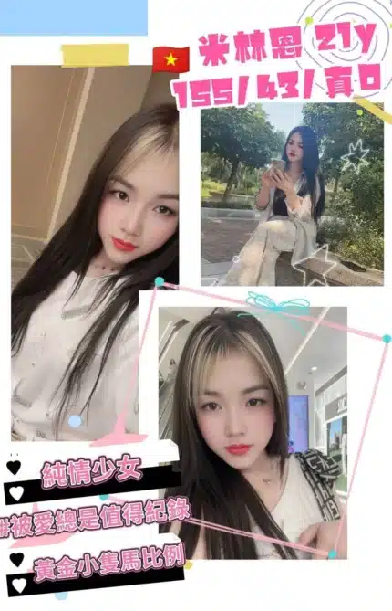 桃園定點茶-米林恩/155/43/21/D