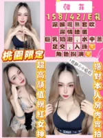桃園定點茶-韓菲/158/42/22/E